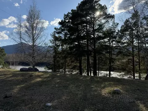 Участок в Алтай, Чемальский район, Элекмонарское с/пос, с. Элекмонар  ...