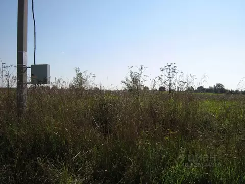 Участок в Ленинградская область, Ломоносовский район, Гостилицкое ...