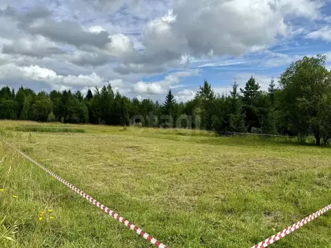 Участок в Пермский край, Добрянский муниципальный округ, с. Красная ...