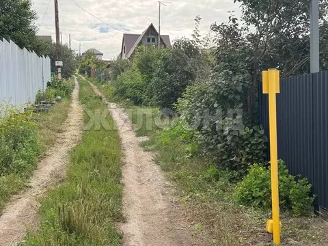 Участок в Алтайский край, Барнаул городской округ, Поселок Казенная ...