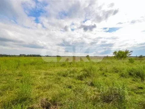 Участок в Адыгея, Майкоп пер. Айвовый (7.7 сот.)