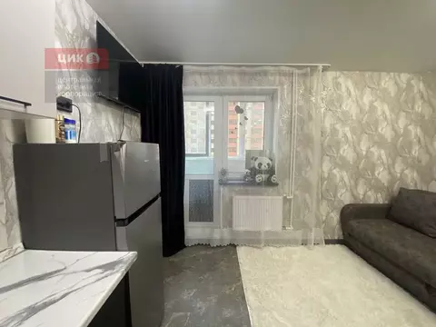 Студия Рязанская область, Рязанский район, Дядьковское с/пос, с. ...