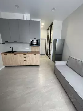 Студия Московская область, Видное ул. Галины Вишневской, 1к1 (25.2 м)