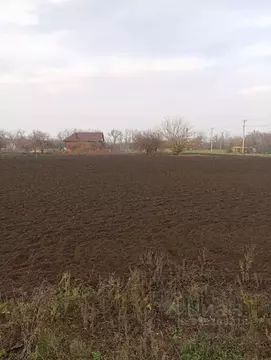 Участок в Ростовская область, Каменский район, Старостаничное с/пос, ...