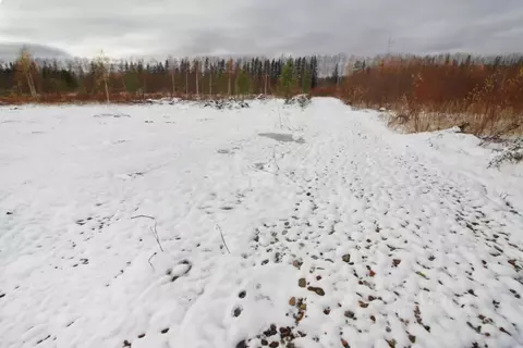 Участок в Свердловская область, Нижний Тагил ул. 70-летия Победы (10.0 ...