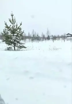 Участок в Марий Эл, Йошкар-Ола городской округ, д. Шоя-Кузнецово пер. ...