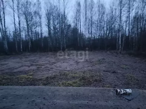 Участок в Марий Эл, Оршанский район, Марковское с/пос, с. Табашино ул. ...