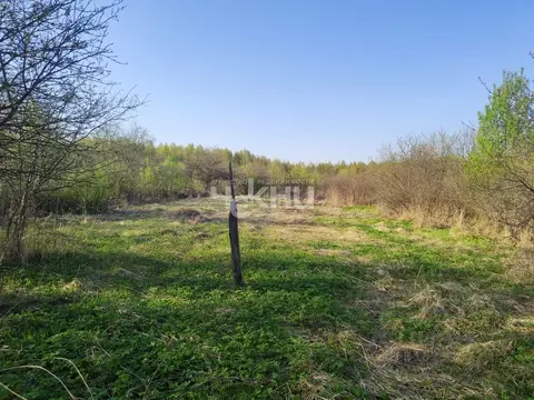 Участок в Нижегородская область, Воротынский муниципальный округ, с. ...