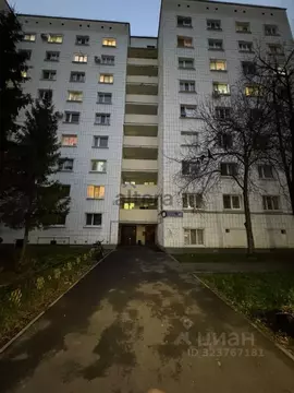 Студия Татарстан, Казань просп. Победы, 45 (17.5 м)