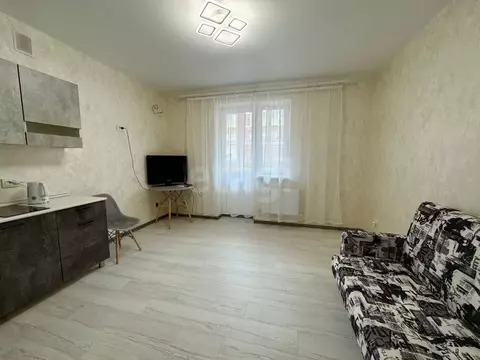 Студия Адыгея, Тахтамукайский район, Старобжегокайское с/пос, Новая ...