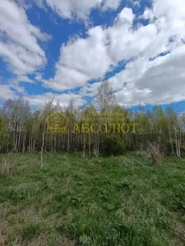 Участок в Свердловская область, Ревда муниципальный округ, с. ...