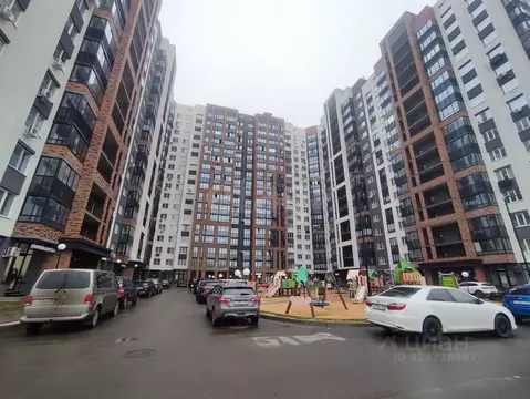 Студия Воронежская область, Воронеж Ростовская ул., 67 (17.6 м)