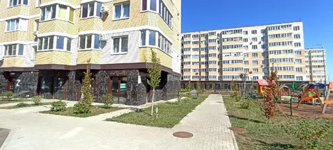 Помещение свободного назначения в Краснодарский край, Краснодар ул. ...