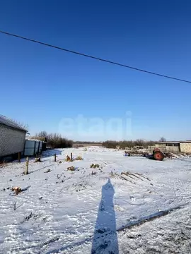 Участок в Белгородская область, Алексеевский муниципальный округ, с. ...