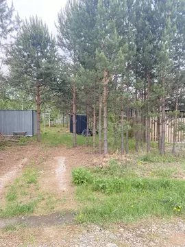 Участок в Свердловская область, Полевской муниципальный округ, с. ...