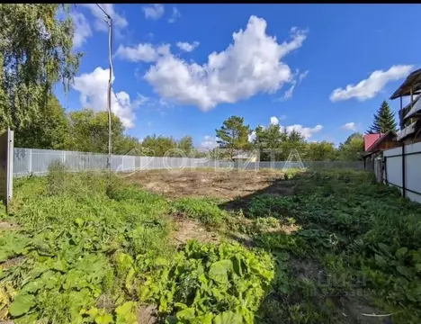Участок в Тюменская область, Тюмень Якорь садовое товарищество, ул. ...