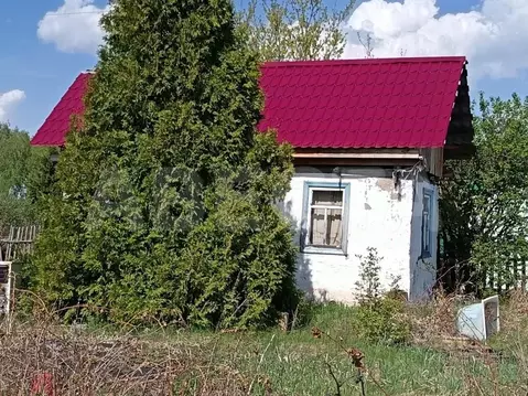 Дом в Омская область, Омский район муниципальный округ, СНТ Березка ...