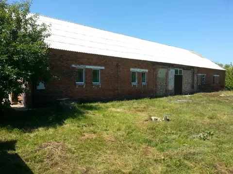 Помещение свободного назначения в Белгородская область, Борисовский ...