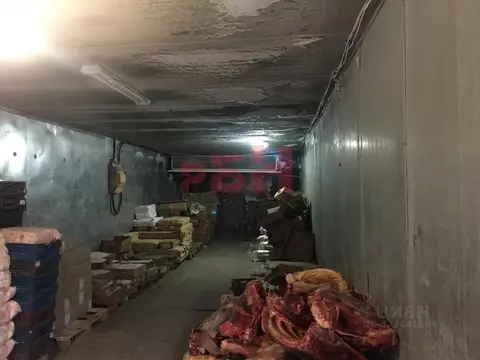 Склад в Пензенская область, Пенза ул. Баумана (25 м)