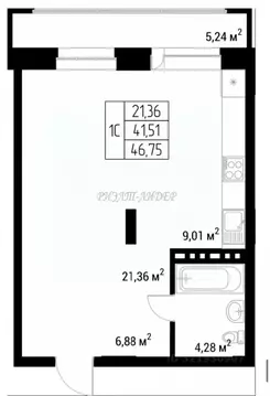 Студия Алтай, Горно-Алтайск ул. Эркемена Палкина, 12 (46.75 м)