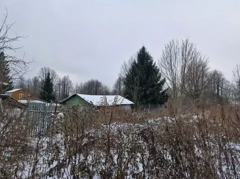 Участок в Московская область, Ступино городской округ, с. Бортниково  ...