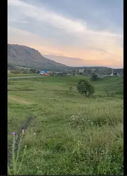 Участок в Алтай, Турочакский район, пос. Санькин-Аил ул. Центральная ...