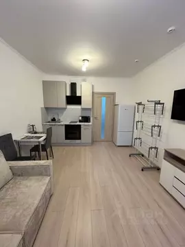 Студия Ленинградская область, Мурино Всеволожский район, ул. ...