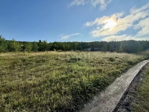 Участок в Мордовия, Кочкуровский район, с. Новая Пырма  (49.5 сот.)