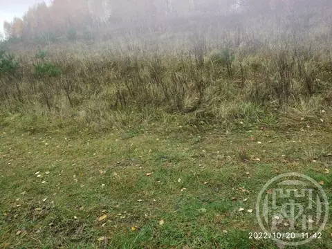 Участок в Ленинградская область, Лужский район, Торковичское с/пос, д. ...