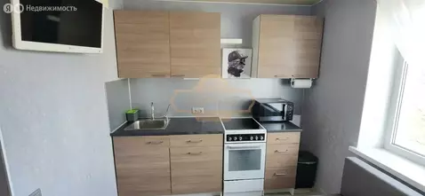 1-комнатная квартира: Санкт-Петербург, Рыбацкий проспект, 57к2 (42 м)