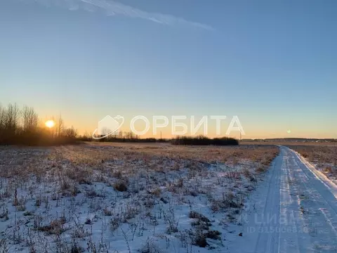 Участок в Тюменская область, Тюменский район, д. Елань 14 (9.43 сот.)