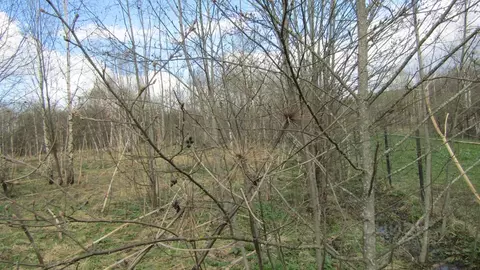 Участок в Московская область, Рузский муниципальный округ, пос. Брикет ...