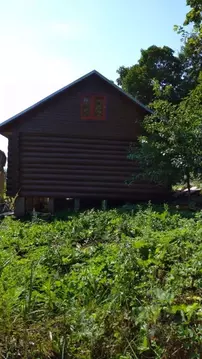 Дом в Тульская область, Алексинский район, с. Карташево  (48 м)