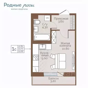 1-к кв. Пермский край, Пермский муниципальный округ, с. Фролы ул. ...