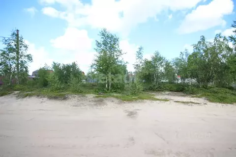 Участок в Ямало-Ненецкий АО, Новый Уренгой Простоквашино дачный ...