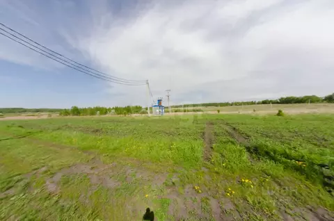 Участок в Курганская область, Шадринский муниципальный округ, с. Ключи ...