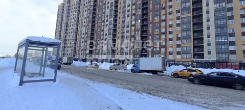 Студия Московская область, Ленинский городской округ, Мисайлово пгт, ...