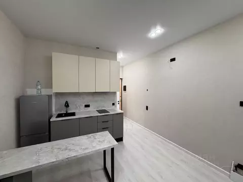 Студия Москва бул. Скандинавский, 14 (21.8 м)