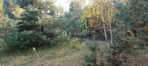 Участок в Владимирская область, Судогодский район, д. Аксеново  (30.0 ...