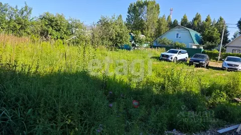 Участок в Костромская область, Кострома Рябинушка СНТ, 71 (5.67 сот.)