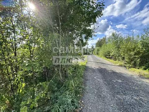 Участок в Ленинградская область, Тосненский район, Форносовское ...