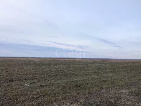 Участок в Крым, Сакский район, с. Столбовое  (301.46 сот.)