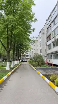 2-к кв. Брянская область, Брянск ул. Репина, 16/61 (51.1 м)