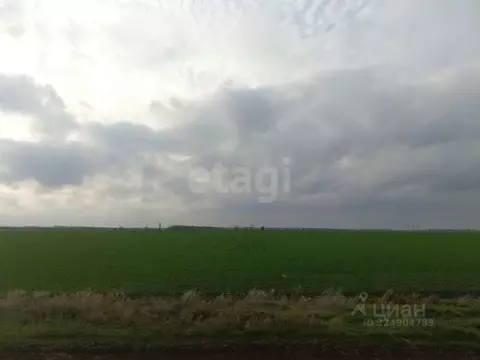 Участок в Крым, Первомайский район, Кормовское с/пос, с. Кормовое  ...