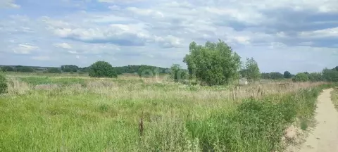 Участок в Воронежская область, с. Новая Усмань ул. Крамского, 1 (8.0 ...