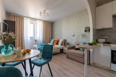 Студия Санкт-Петербург 1-й Предпортовый проезд, 14 (24.0 м)