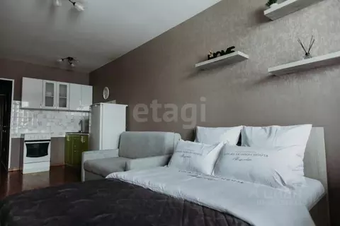 Студия Красноярский край, Красноярск Норильская ул., 40 (24.8 м)