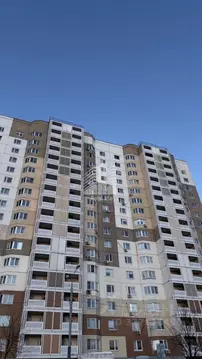 Студия Московская область, Домодедово Южный мкр, ул. Курыжова, 30 ...