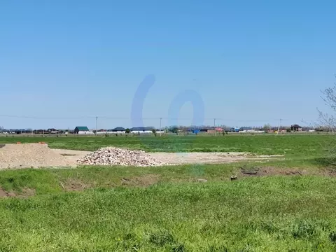 Участок в Краснодарский край, Динской район, Новотитаровская ст-ца ул. ...