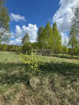 Участок в Калужская область, Бабынинский муниципальный округ, ...